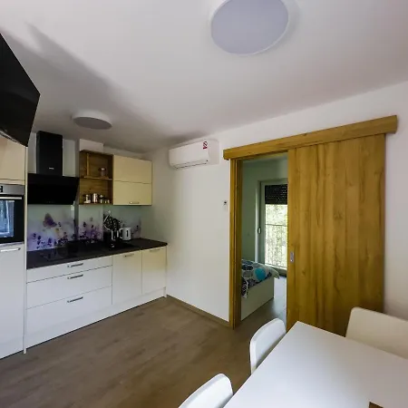 公寓 Apartmaji Silva Slap ob Idrijci