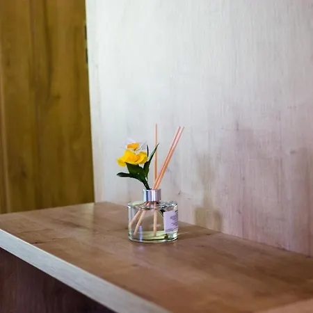 Apartmaji Silva 아파트 *