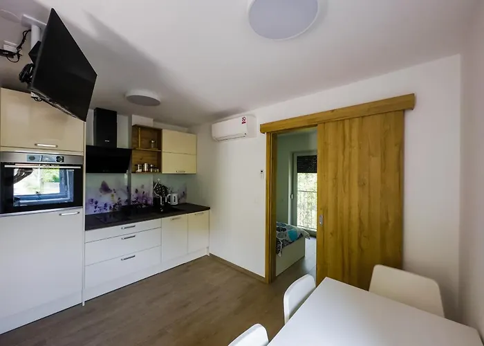 Apartment Apartmaji Silva Slap ob Idrijci