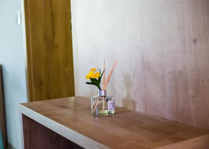 Apartmaji Silva Apartment *